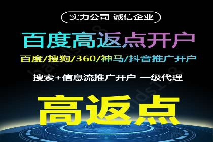 百度推广费用策略在竞争激烈市场的应用案例